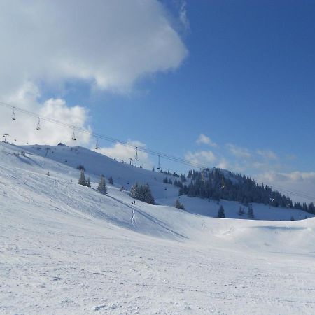 Hedonic Daire Kopaonik Dış mekan fotoğraf