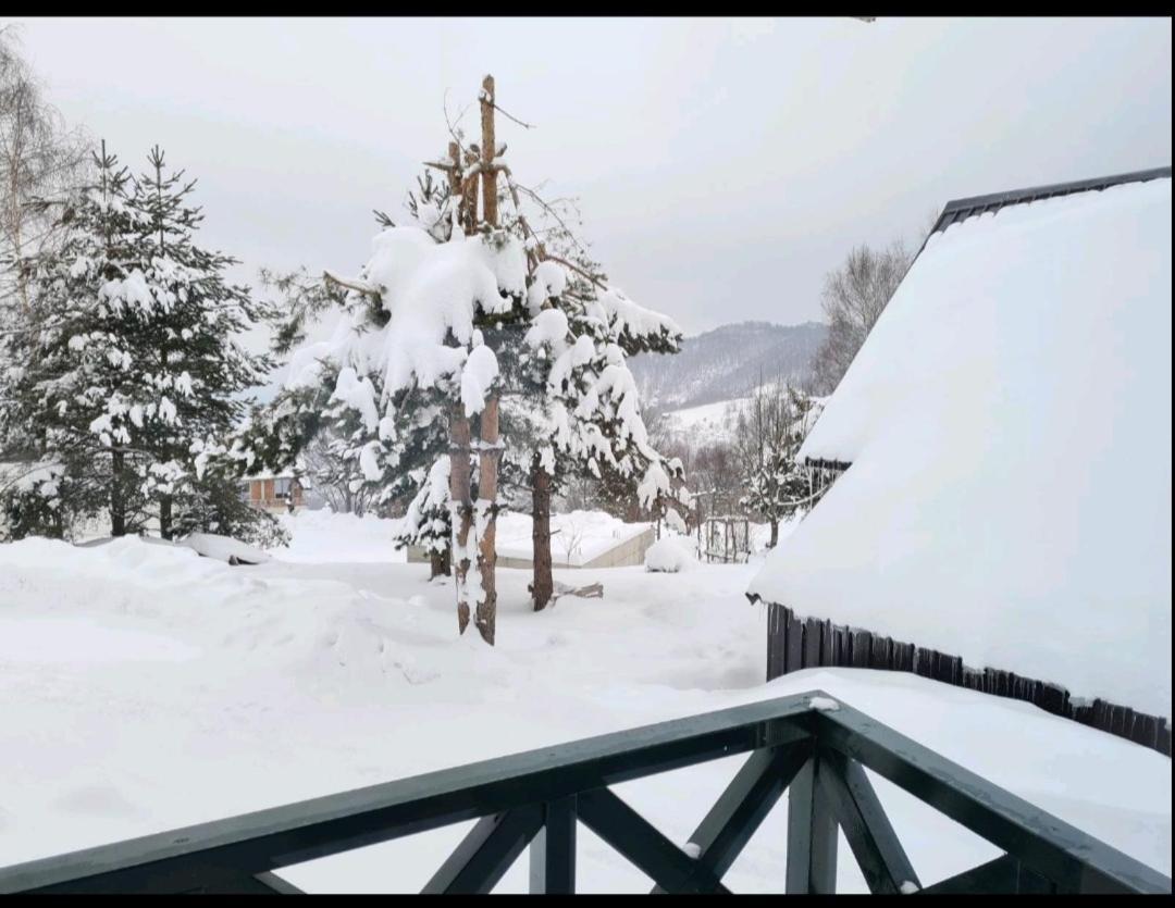 Hedonic Daire Kopaonik Dış mekan fotoğraf